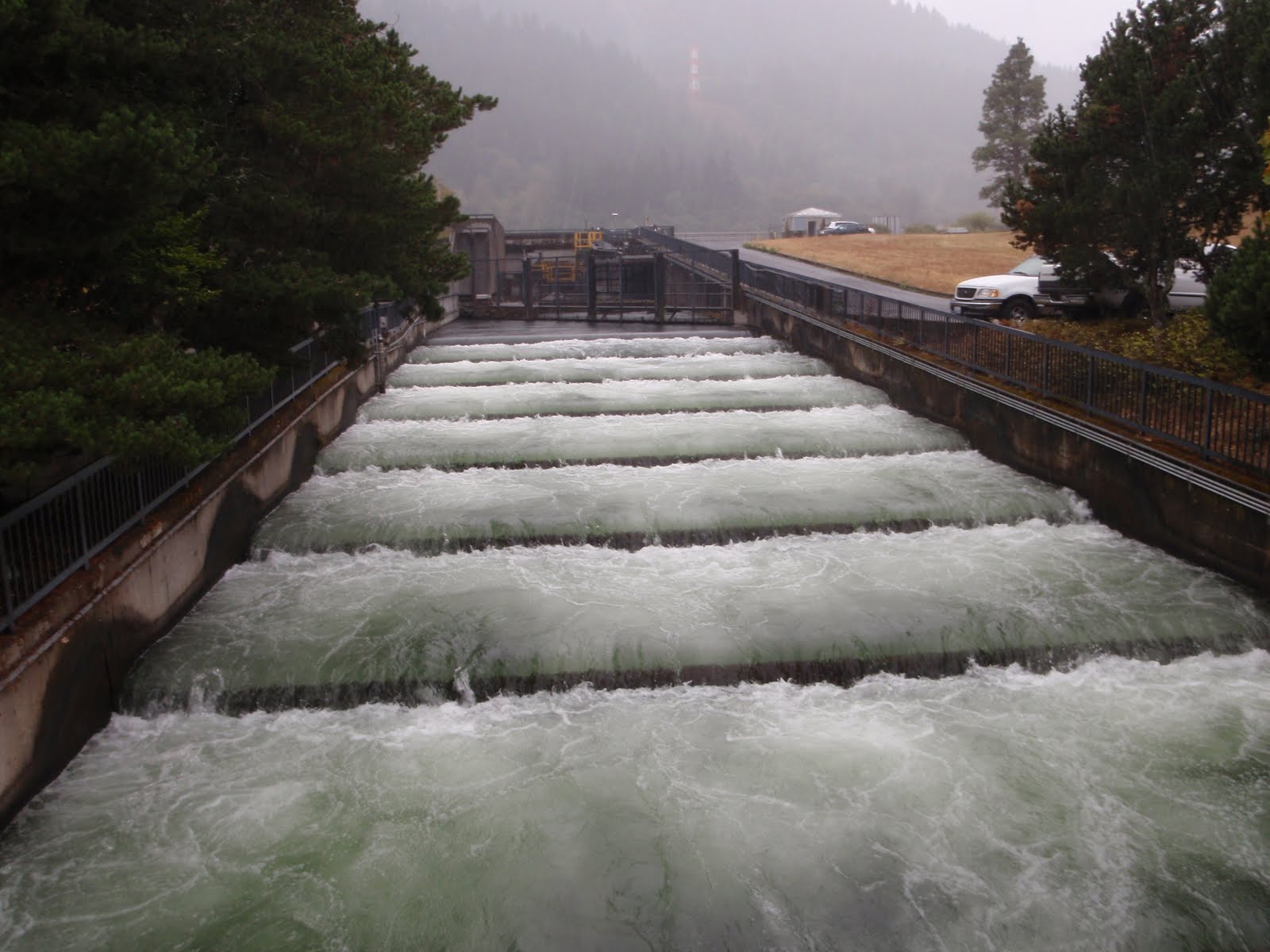 Ohio Steelhead Drifters Bonneville Dam Portland, Oregon Steelhead