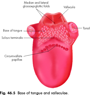 MEDICAL IMAGES: Tongue