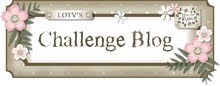 lili challenge