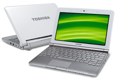 Toshiba NB305-A122W