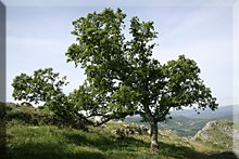 Paisaje desde Atxabal / Peñas de Oro