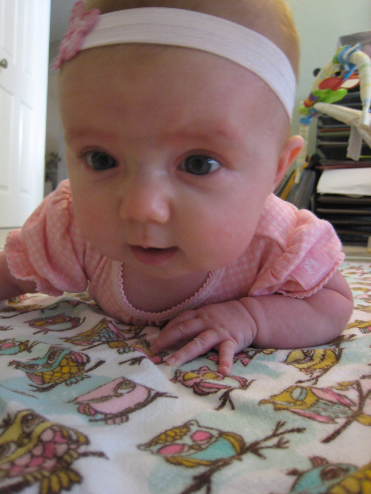 [IMG_9963.JPG]