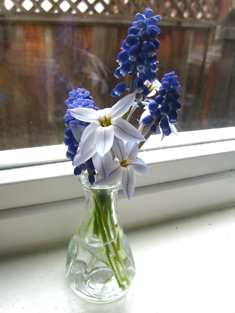 [IMG_3795.jpg]