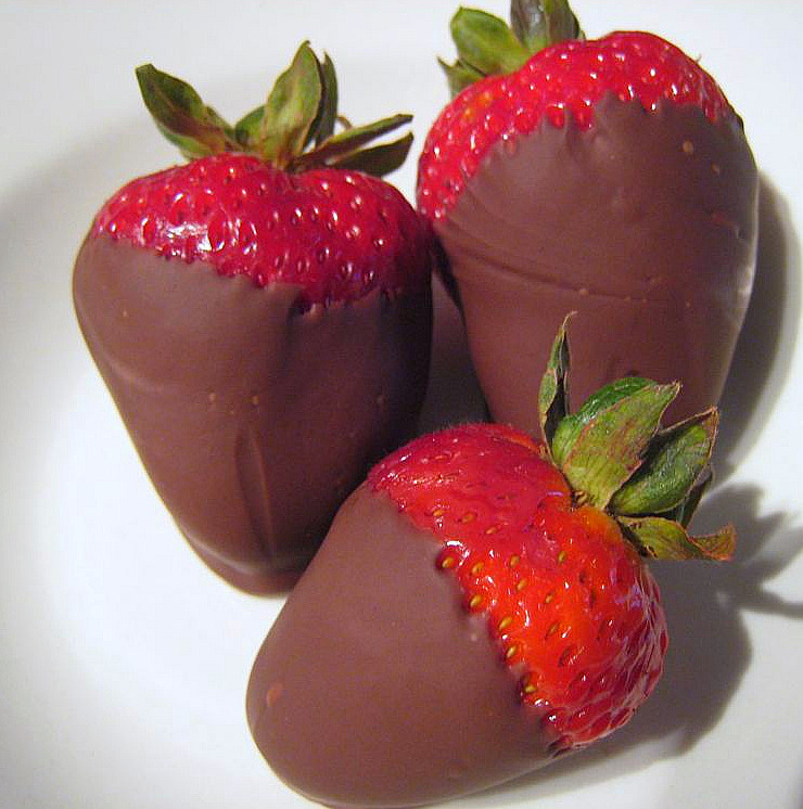 [chocolate.jpg]