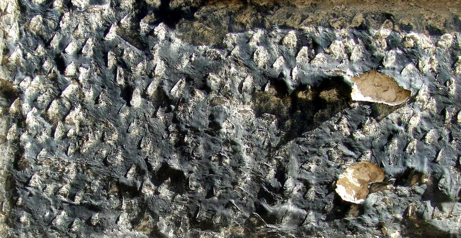 [grabado+vertical.JPG]