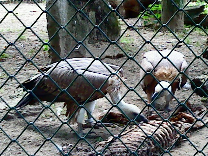 [image-upload-267-709929.jpg]