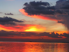 october 15,2008 blog
