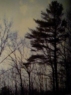 DSCN1380.JPG