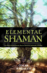 Elemental Shaman