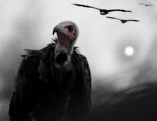 Un Blog Para Marta: Un paseo en bote hacia la isla de las sirenas o El