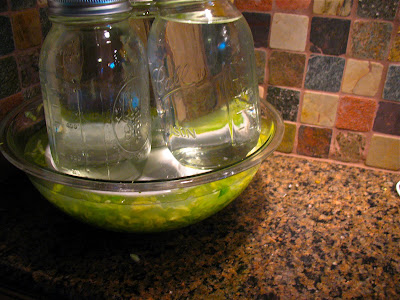 cabbage under pressure