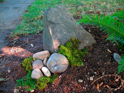 rocks with moss