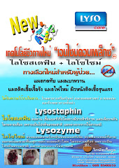 Leaflet / เอกสารแนะนำ