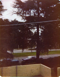 Welcome to: Rainy Day Music