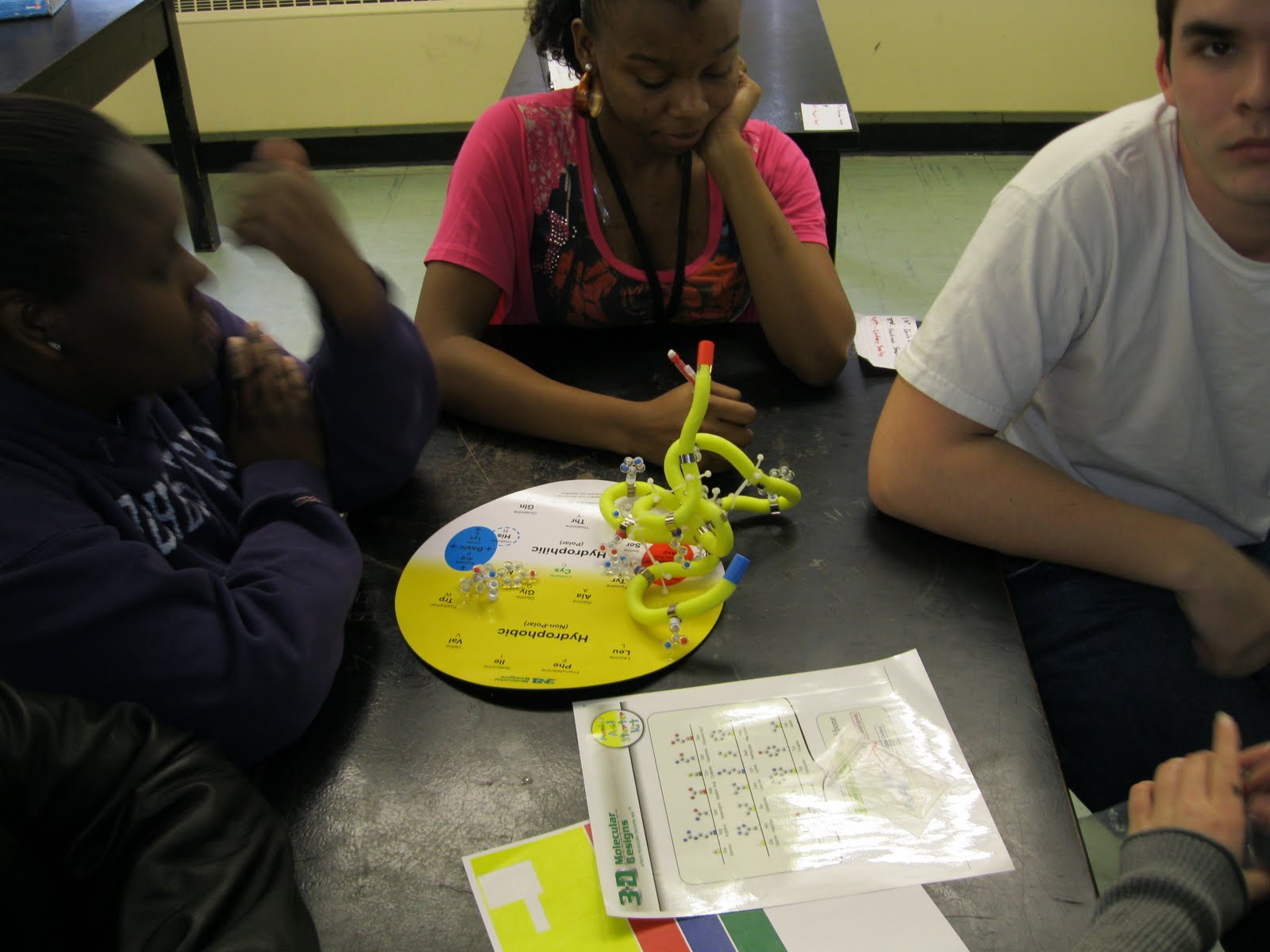 Mr. Boyd's Blog AP Biology Protein Lab