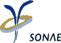 [logo-sonae.gif]