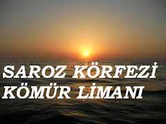 SAROZ KÖRFEZİ KÖMÜR LİMANI