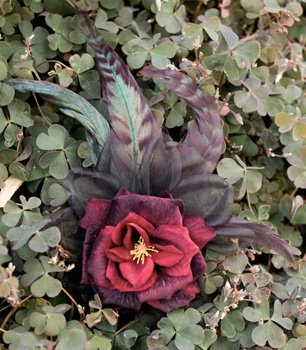 [Dark+red+rose+and+aubergine+feather+fascinator+in+shamrock.jpg]
