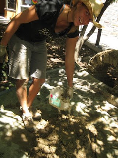Click to enlarge