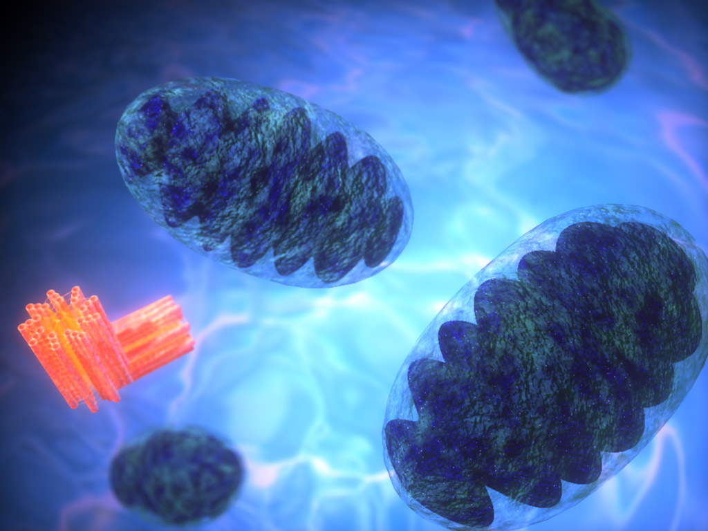 медихлориан звёздные войны. уровень мидихлориан. мидихлорианы в реальном мире. квай-гон джинн и энакин. мидихлорианы в реальном мире.