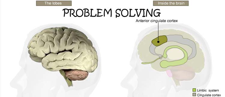 Teen Brain Behavior Problem Solving 56
