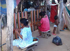 The Wayuu Indians