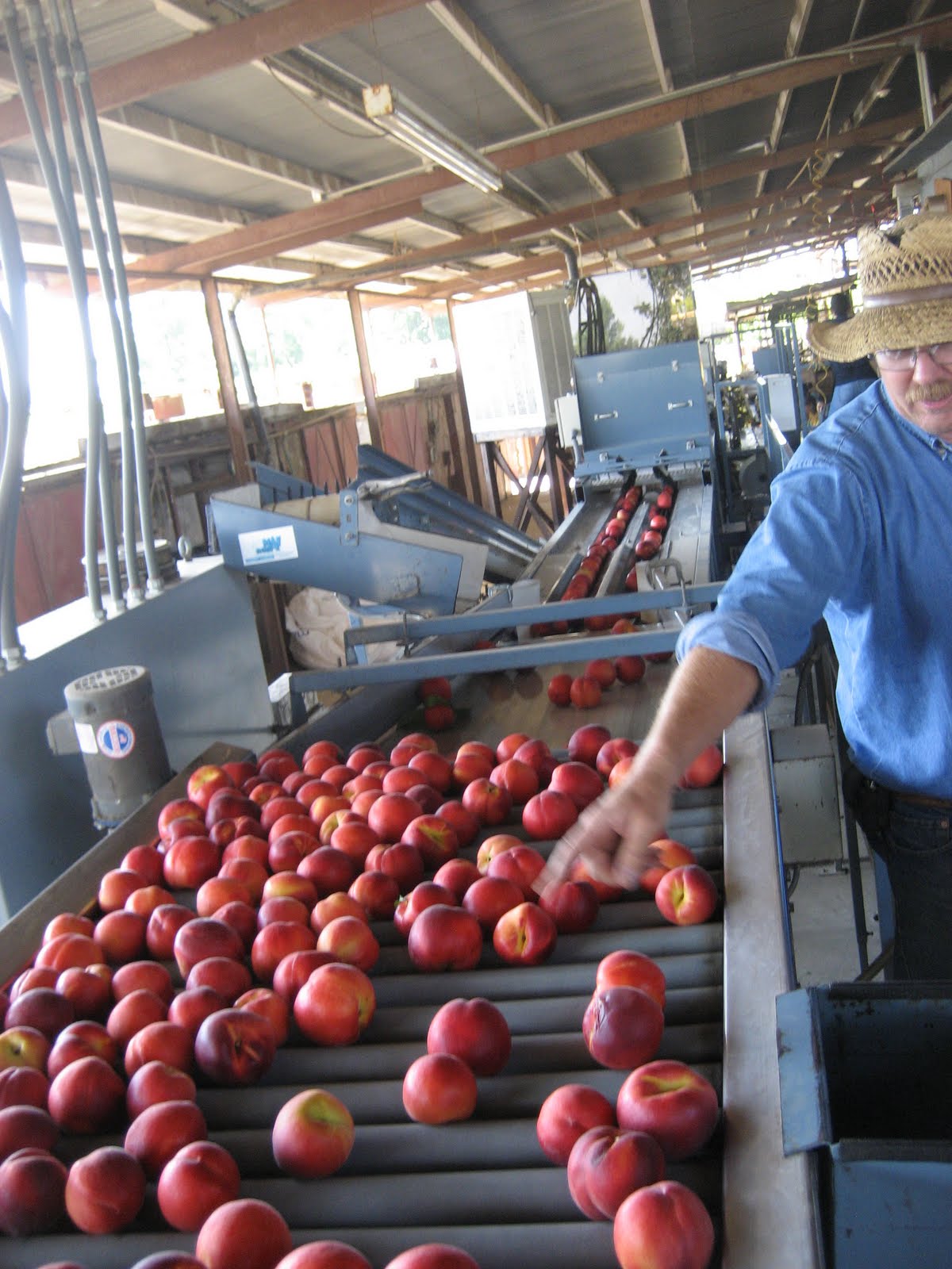 Youth Venture in Reedley, CA 2010