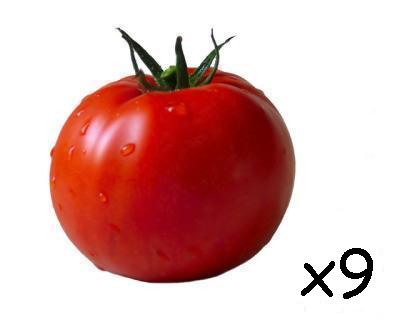 [tomate+nota+9.JPG]