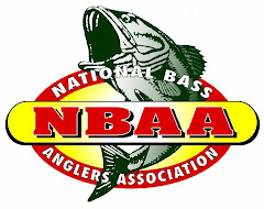 NBAA Website