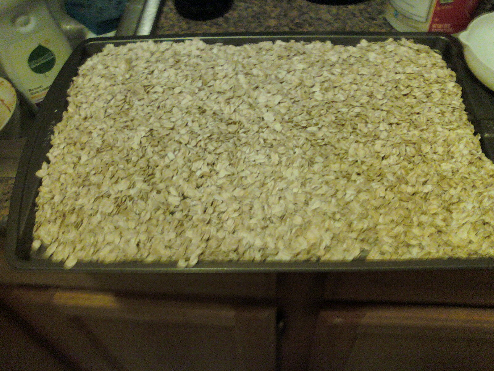 No Oven, Will Bake Alton Brown's Oaty Oatmeal Cookies
