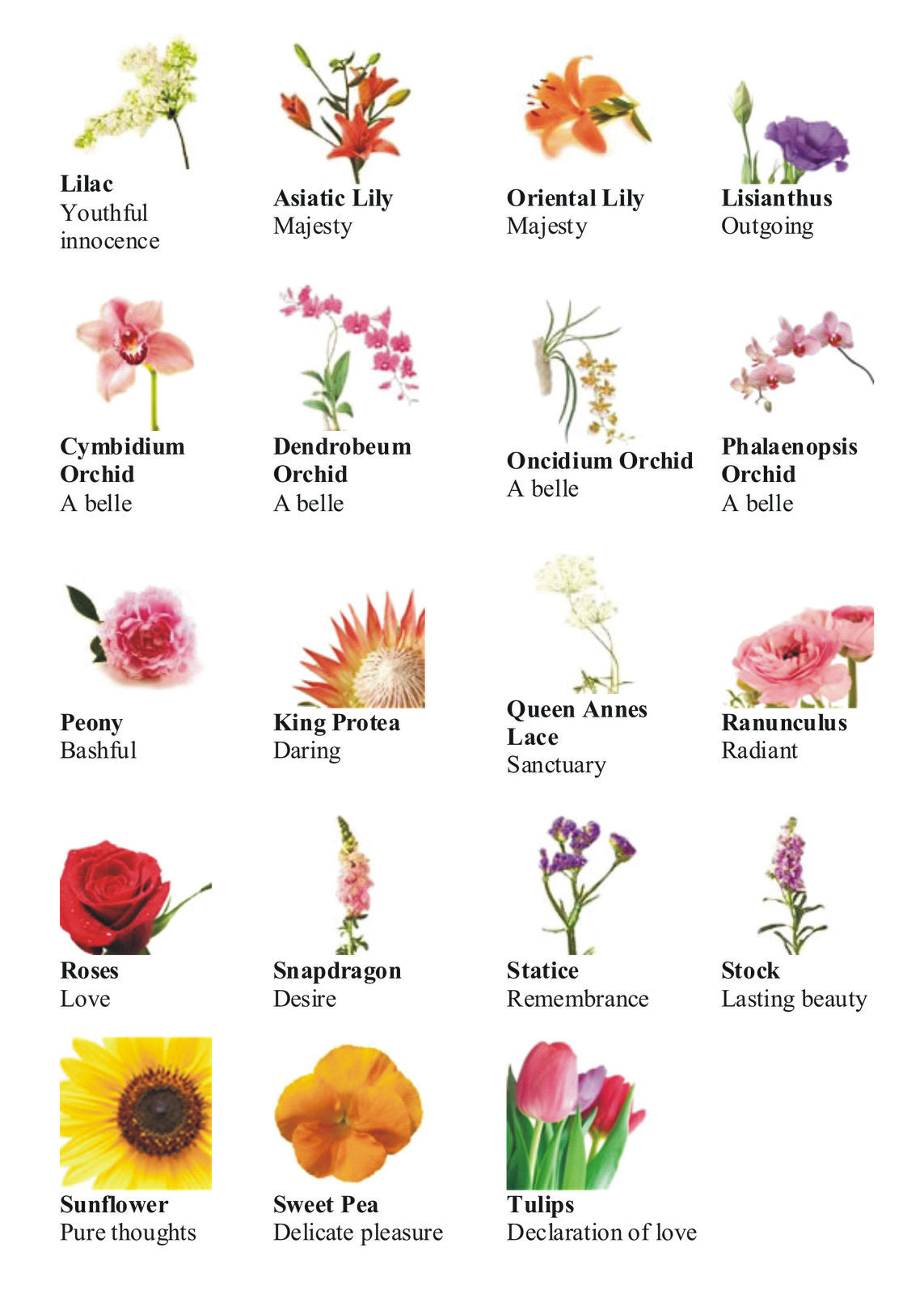 Detailed Types Of Flowers In English Wallpaper in HD