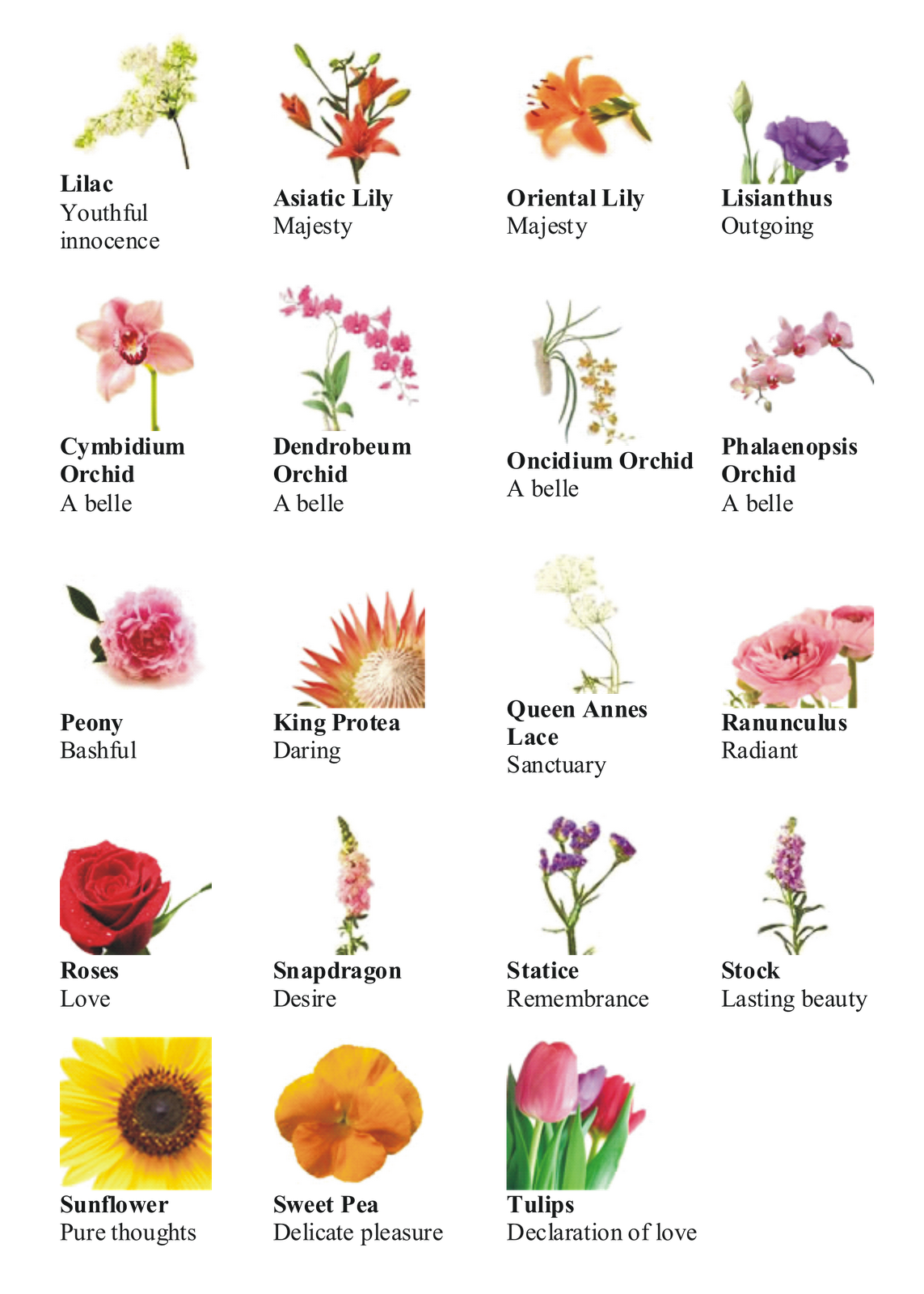 language of flower: different types of flowers