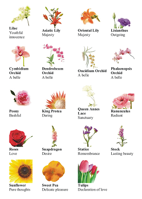 language of flower