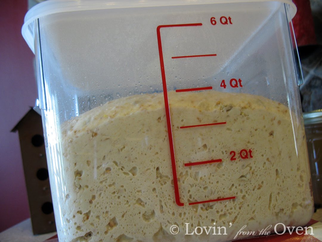 Frieda Loves Bread Bread Proofing