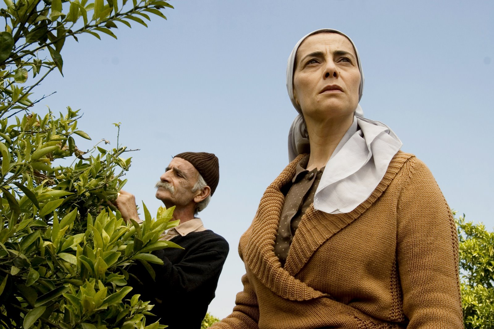 [fotochamadalemontree.jpg]