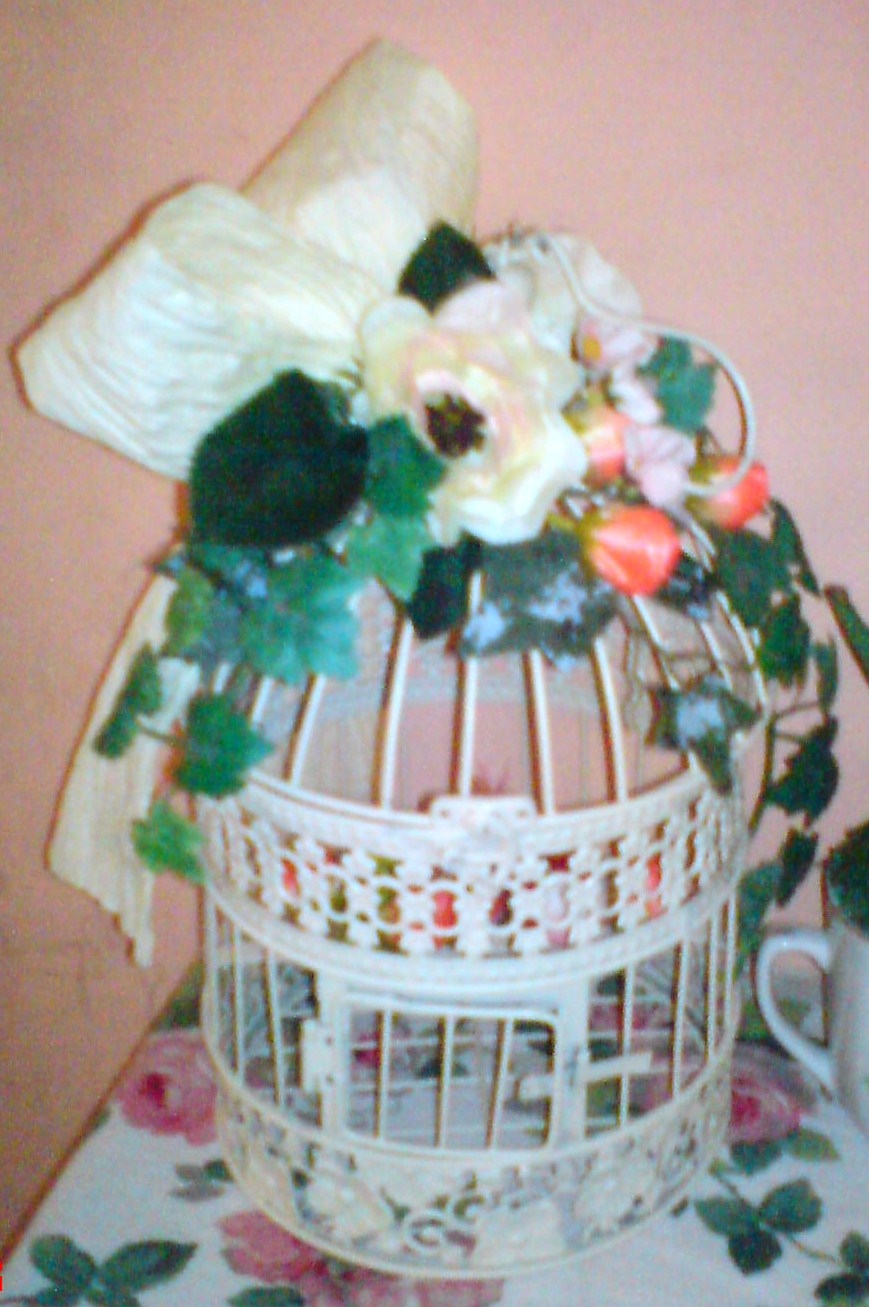 Hiasan Sangkar Burung Jeromepitts S Blog