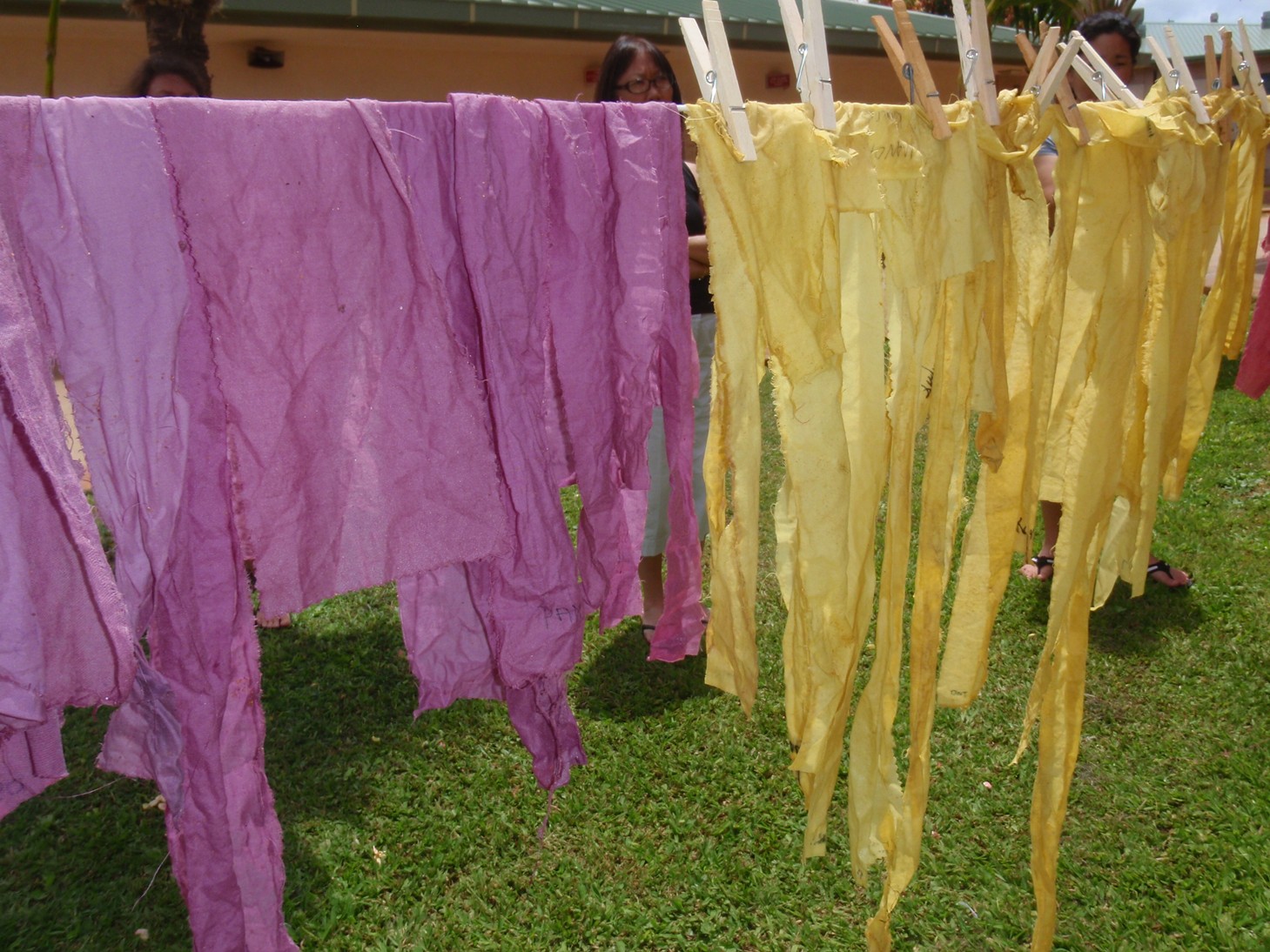Mālama Learning Center WOW Workshops: Making Natural Dyes from ...