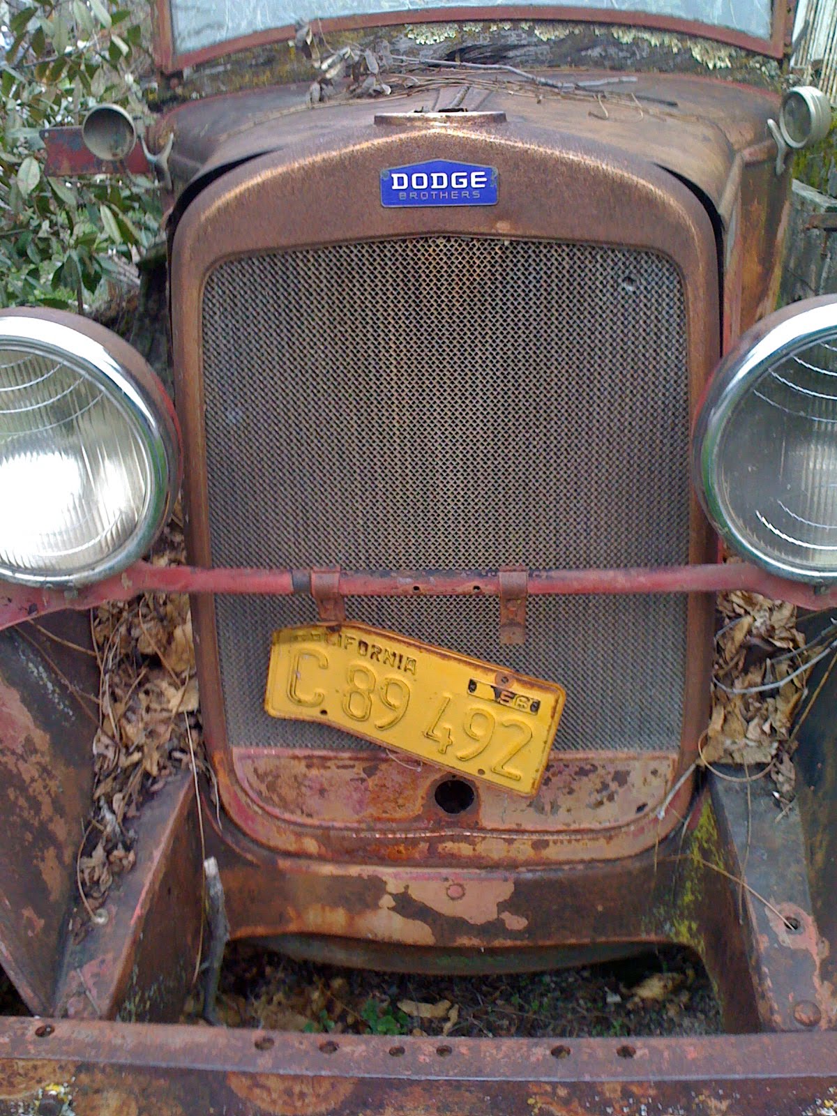[dodge-753291.jpg]