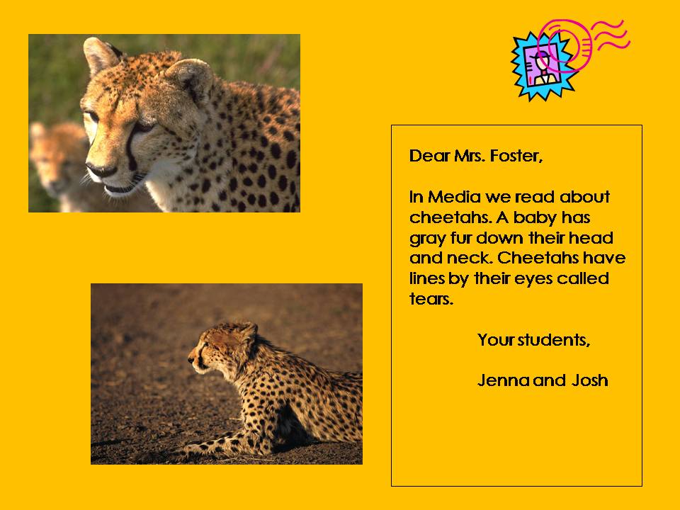 The Library Gals Zoo PostcardFinal Product