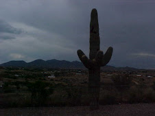Storm clouds behind the Saguaro