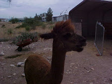 Tinker, "Yeah, I could eat..."