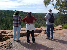 Overlooking the Mogollon Rim