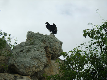 SERROTE DA ACAUÃ