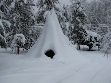 Winter on the farm