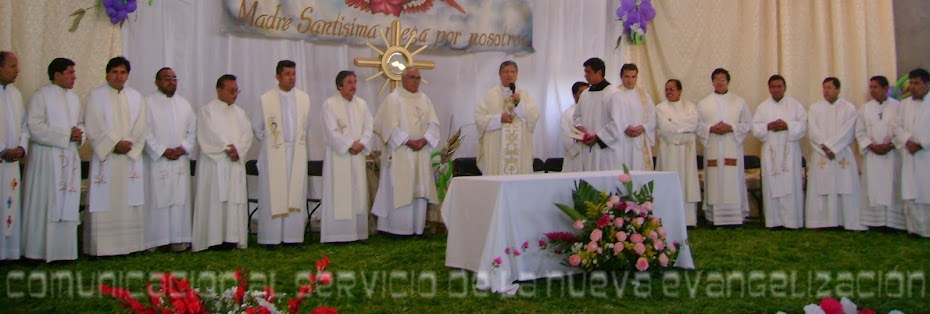 Comunicación IV Vicaria Santa María de Guadalupe