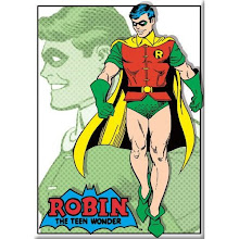 Robin Boy Wonder Magnet
