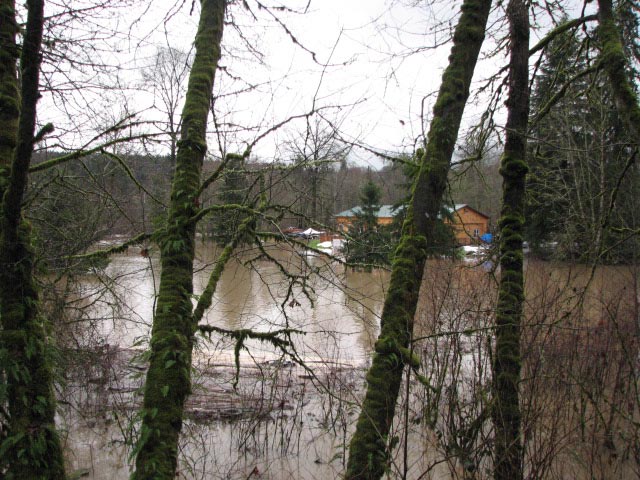 [Jan+2009+flood-24.jpg]
