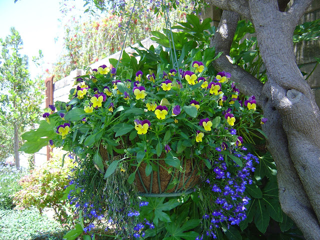 Hanging Flower Basket | Organizingmadefun.com