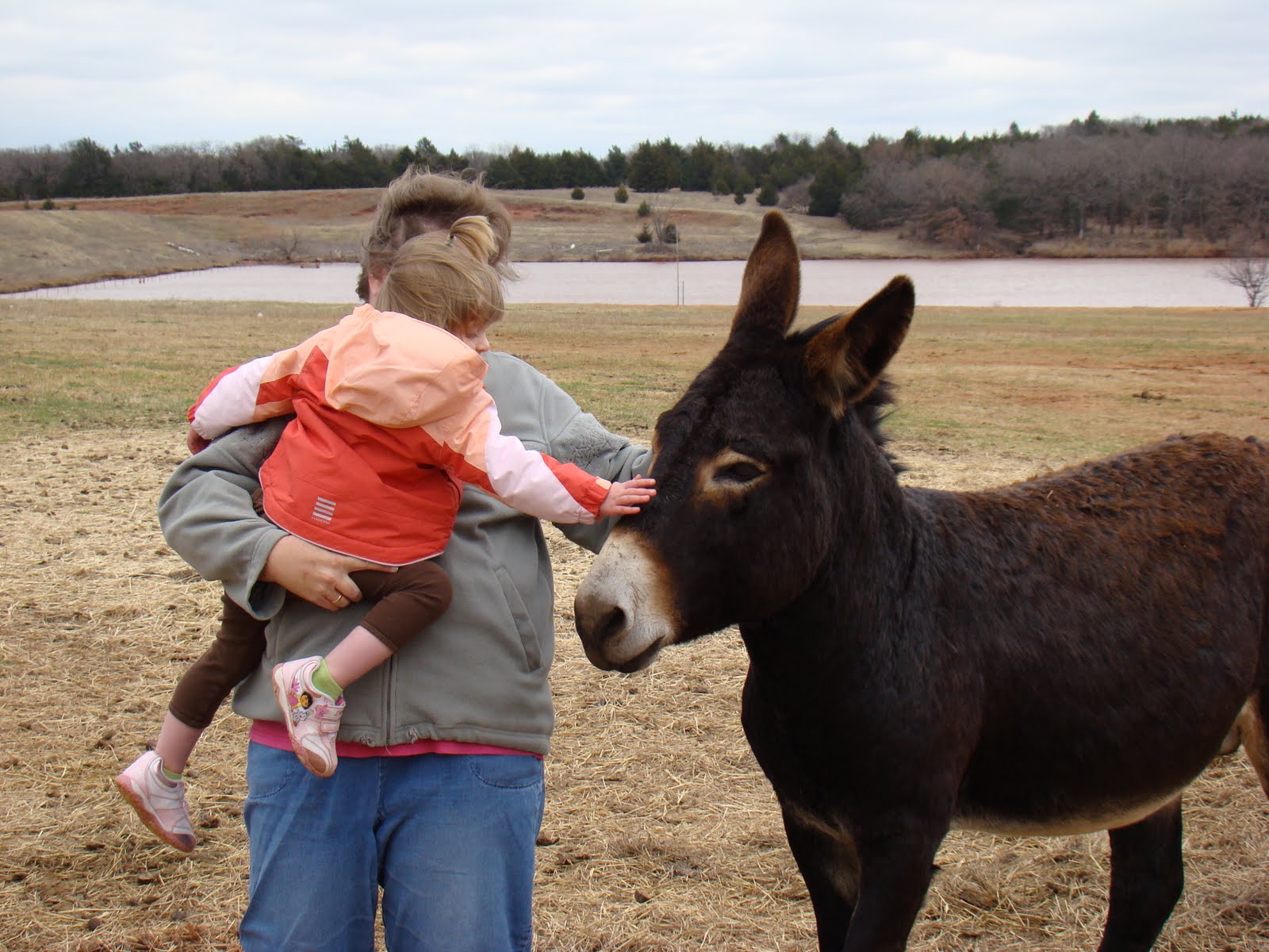 Travel with Us: Horseback Riding Lessons for Gracie