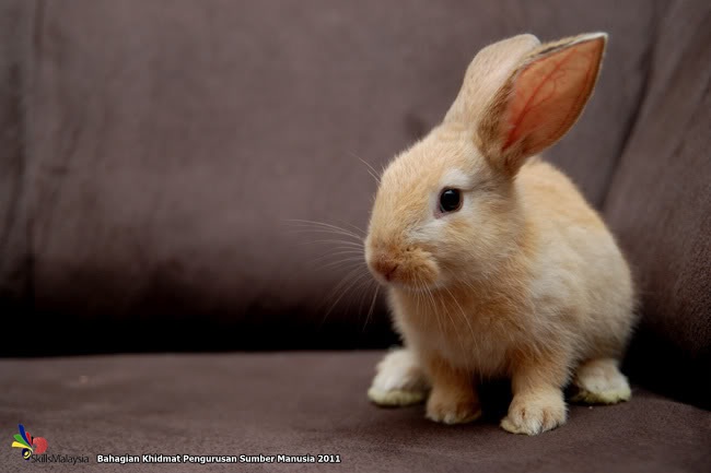 Kkm Bahagian Sumber Manusia / Самые новые твиты от bahagian pengurusan